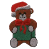 Teddy Bear with Present