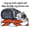 Cozy Up Quilt Cat