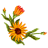 Sunflower Corner