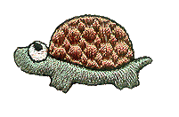 Big Eyed Turtle
