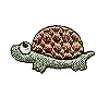 Big Eyed Turtle