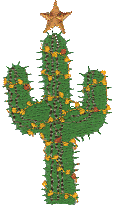 Christmas Tree Cactus