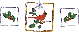 Christmas Cardinal, with border