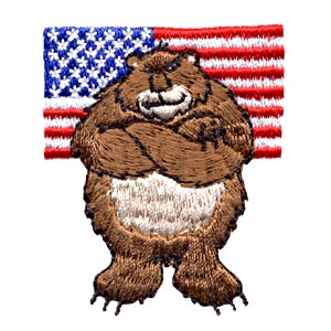 Patriot bear