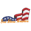 God Bless America Flag / smaller