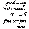 Spend a Day in the Woods - Saying only