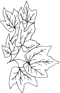 Six Leaves