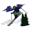 Skier 19
