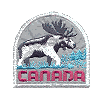 Canada Moose Appliqué