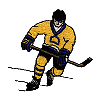 Hockey Player 10