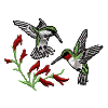 Two Hummingbirds