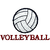 Volleyball 6