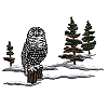 Snowy Owl Landscape (Small)