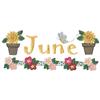 June, Jumbo