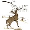 Fall Ritual Buck/Deer