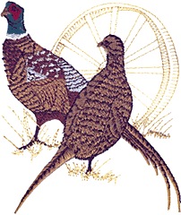 Pheasant Pair