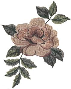 Medium Rose 1