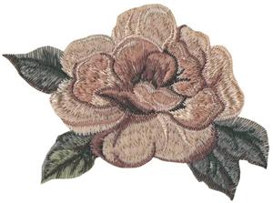 Medium Rose 2