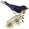 Swallow/Branch/Flowers