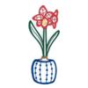 Amaryllis Potted Flower