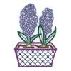 Hyacinth Potted Flower