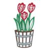 Tulip Potted Flower
