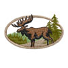 Moose Pine Oval