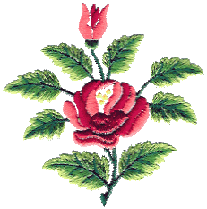 Fancy Rose