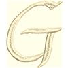 Letter G, Small