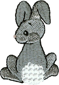 Gray Hares Rabbit