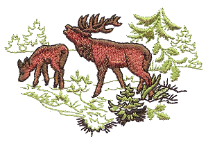 Grazing Deer