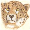 Cheetah, Light Stitch (Smaller)