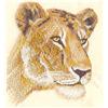 Female Lion, Light Stitch (Smaller)
