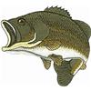 Large Mouth Bass Fish