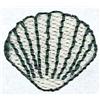 Mary Sea Shell