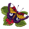 Colored Garden Butterfly