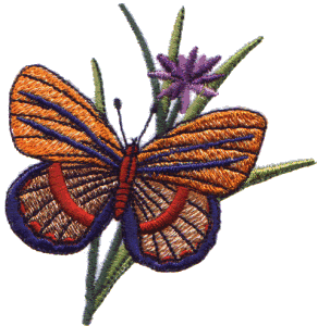 Garden Butterfly on Flower