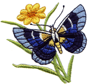 Flower & Garden Butterfly