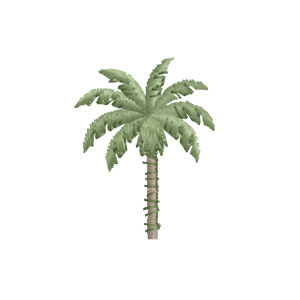 Tiny Palm
