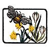 Bee & Blossoms