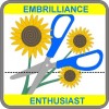 Image of Embrilliance Enthusiast
