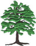 Tree 4