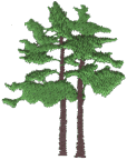 Tree 10