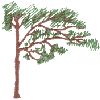 Tree 9