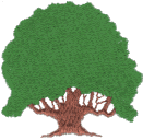 Tree 11