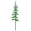 Tree 15