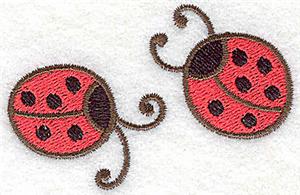 Two ladybugs