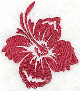 Hibiscus A