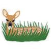 Fawn In Grass