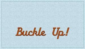 "Buckle Up!" (Seat Belt Cover)